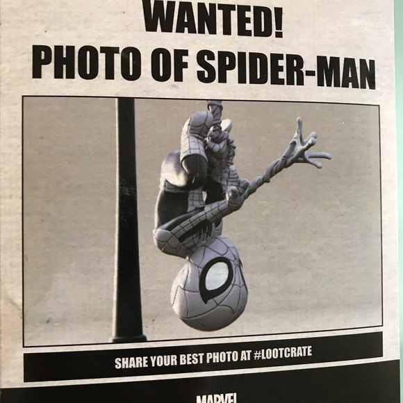 Black and white figure of Spider-Man - Picture 2 of 2